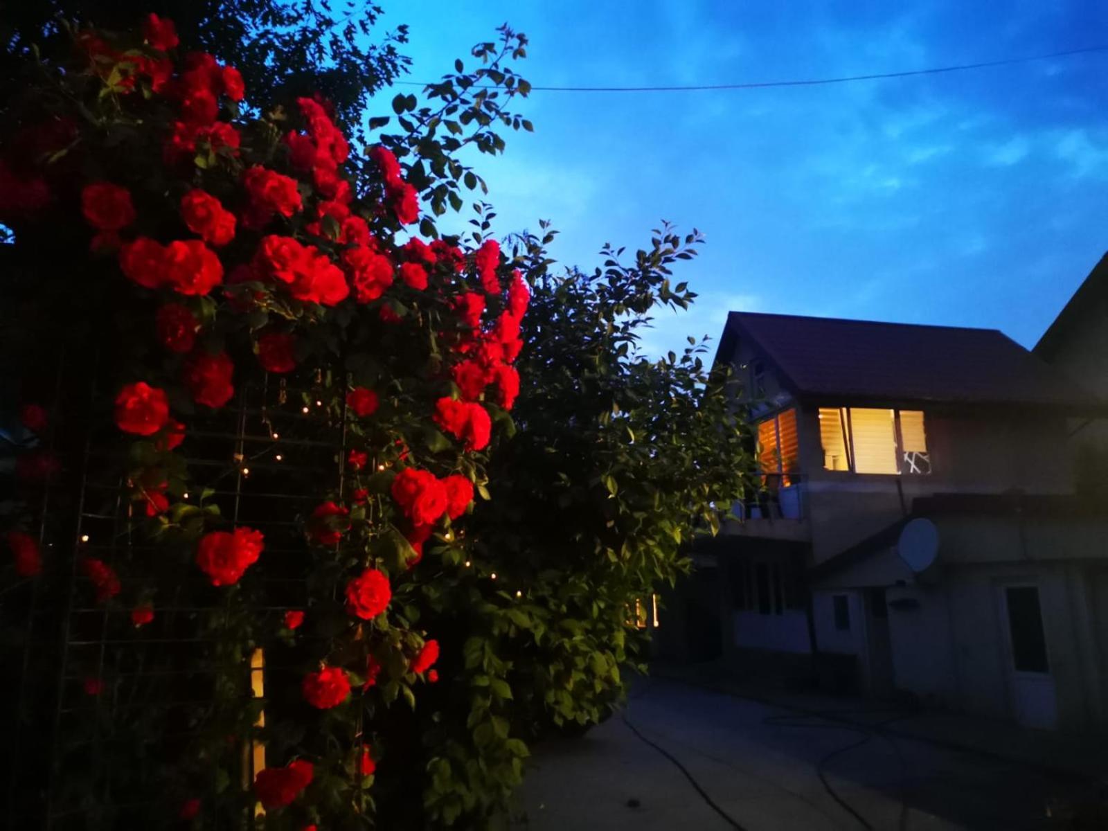 Cristalex Villaverde Bucharest Pantelimon Экстерьер фото